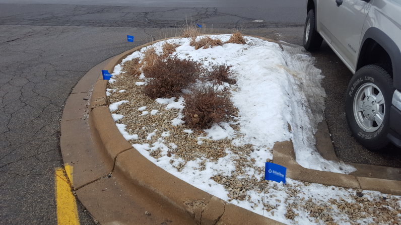 Snow plow flags