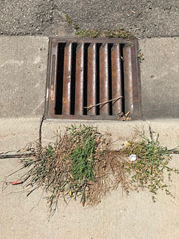 storm drain 1sm